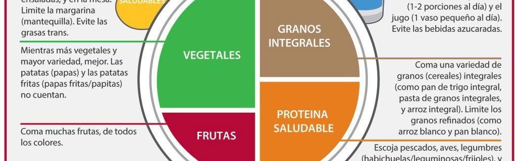 Plato saludable de Harvard